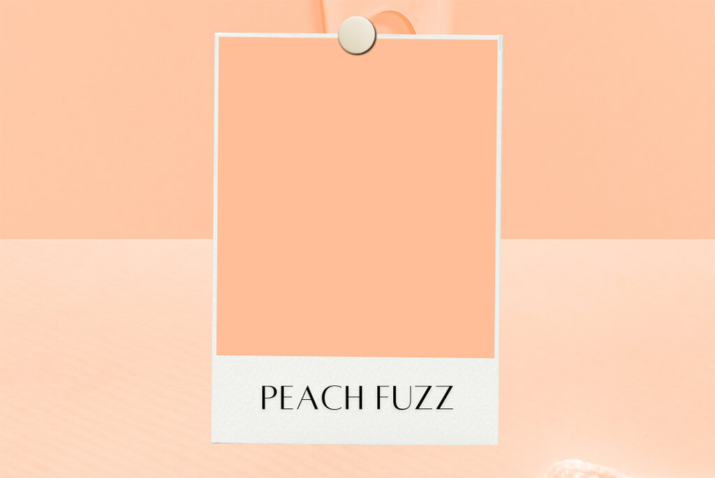 Pantone peach fuzz pms 13-1023